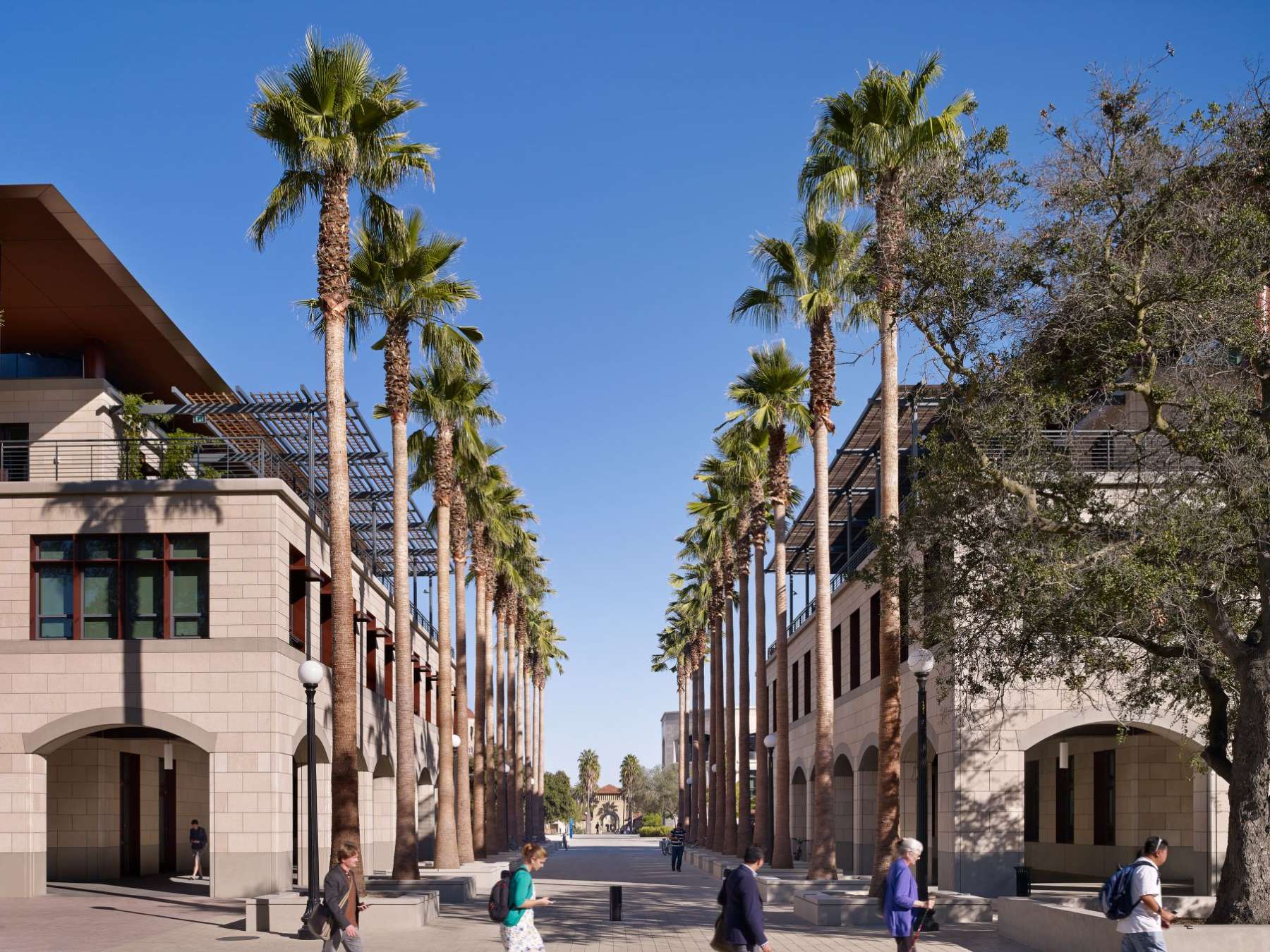 Designing for the future | 100 Years of Stanford Engineering